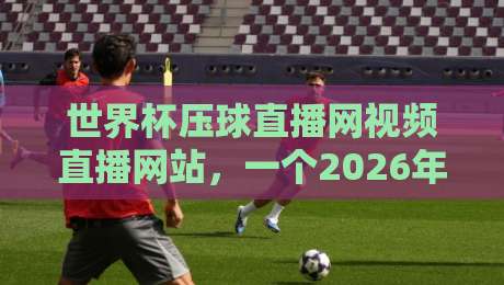 世界杯压球直播网视频直播网站，一个2026年看球老手的真心话