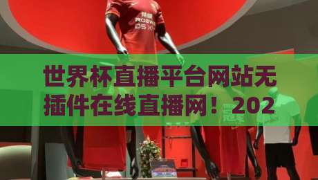世界杯直播平台网站无插件在线直播网！2026年观赛新体验，真球迷都在用的平台（世界杯直播平台网站无插件在线直播网）