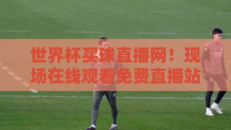 世界杯买球直播网！现场在线观看免费直播站，2026年观赛新体验