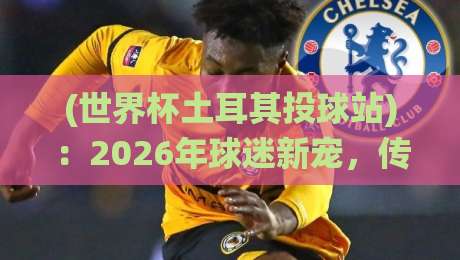 (世界杯土耳其投球站):2026年球迷新宠,传统竞技与世界杯激情碰撞【世界杯土耳其投球站】全揭秘