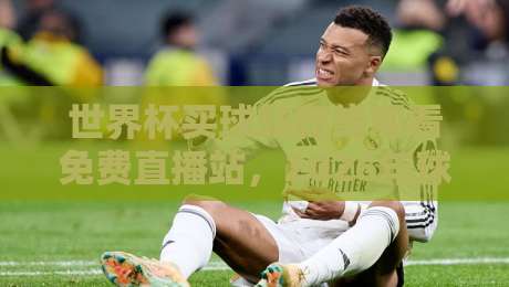 世界杯买球站在线观看免费直播站,2026年球迷必藏的观赛神器(世界杯买球站在线观看免费直播站) 世界杯买球站在线观看免费直播站,2026年球迷必藏的观赛神器(世界杯买球站在线观看免费直播站)