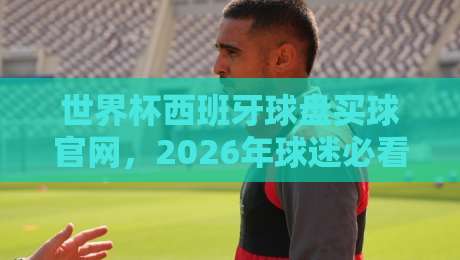 世界杯西班牙球盘买球官网,2026年球迷必看的安全购彩指南