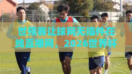 世预赛让球网无插件在线直播网，2026世界杯预选赛看球新姿势