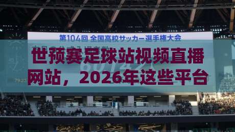 世预赛足球站视频直播网站，2026年这些平台让你看球不踩坑