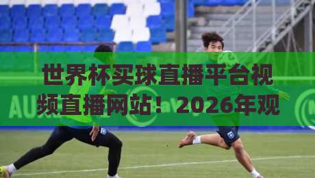世界杯买球直播平台视频直播网站！2026年观赛新选择 (世界杯买球直播平台视频直播网站)