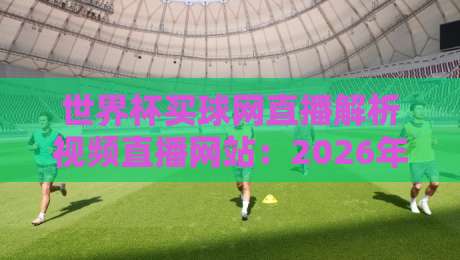 世界杯买球网直播解析视频直播网站：2026年球迷必看的观赛新玩法
