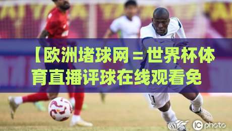 【欧洲堵球网＝世界杯体育直播评球在线观看免费直播站】——2026球迷必备的观赛神器，你get了吗？