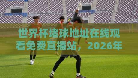 世界杯堵球地址在线观看免费直播站,2026年最全观赛指南来了 世界杯堵球地址在线观看免费直播站,2026年最全观赛指南来了