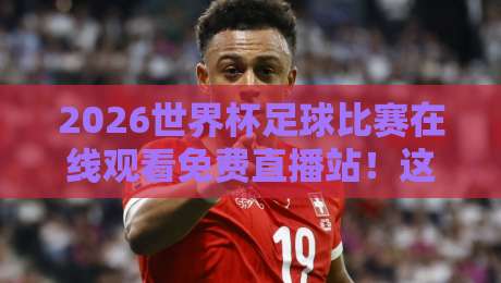 2026世界杯足球比赛在线观看免费直播站！这些隐藏平台让你免费看高清不卡顿