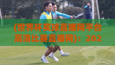 (世界杯买球直播网平台高清比赛直播网)：2026年观赛新选择，高清流畅不卡顿