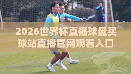 2026世界杯直播球盘买球站直播官网观看入口，这些细节你不能错过