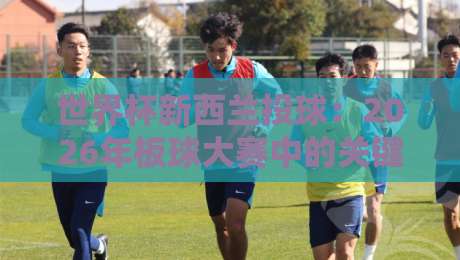 世界杯新西兰投球:2026年板球大赛中的关键武器深度解析