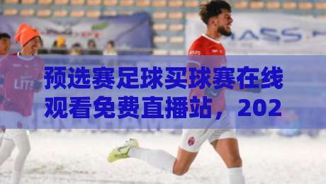 预选赛足球买球赛在线观看免费直播站，2026年这4个平台实测不卡顿！