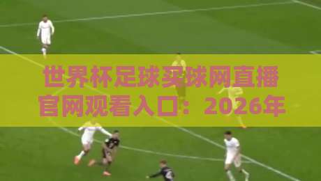 世界杯足球买球网直播官网观看入口:2026年最新实测指南与避坑技巧 世界杯足球买球网直播官网观看入口:2026年最新实测指南与避坑技巧