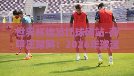 世界杯埃及比球网站-荷甲压球网:2026年球迷必看的投注攻略与实战技巧