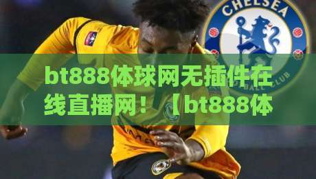 bt888体球网无插件在线直播网！【bt888体球网】2026年观赛首选平台深度评测