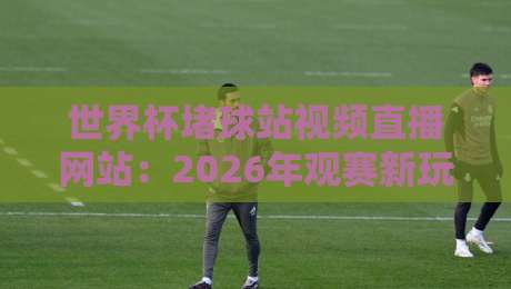 世界杯堵球站视频直播网站：2026年观赛新玩法与风险避坑指南