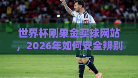世界杯刚果金买球网站,2026年如何安全辨别?老司机经验谈