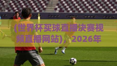 (世界杯买球直播决赛视频直播网站)，2026年最全观赛指南来了！