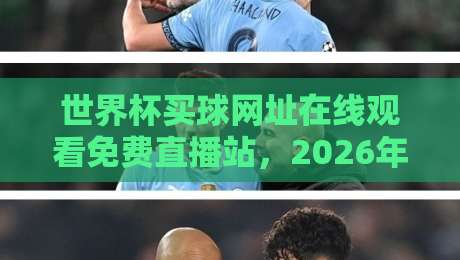 世界杯买球网址在线观看免费直播站，2026年这些合法渠道更靠谱！