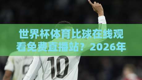 世界杯体育比球在线观看免费直播站？2026年观赛的正确打开方式！