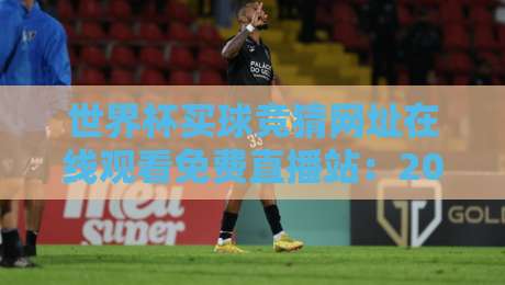 世界杯买球竞猜网址在线观看免费直播站：2026年球迷必知的五大避坑指南
