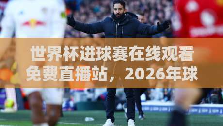 世界杯进球赛在线观看免费直播站，2026年球迷必看的四大观赛攻略！