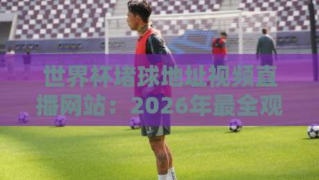 世界杯堵球地址视频直播网站：2026年最全观赛指南，附高清直播链接（世界杯堵球地址）推荐