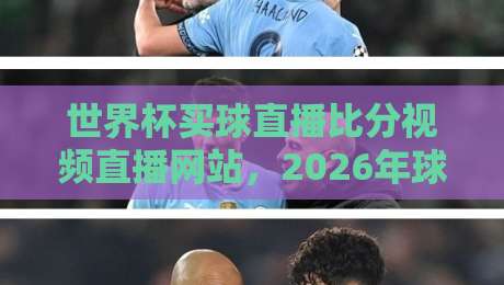 世界杯买球直播比分视频直播网站，2026年球迷必看的五大平台对比