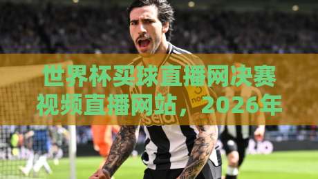 世界杯买球直播网决赛视频直播网站，2026年世界杯决赛观看指南