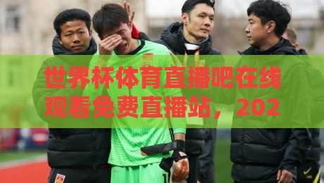 世界杯体育直播吧在线观看免费直播站，2026年球迷的观赛指南来了！