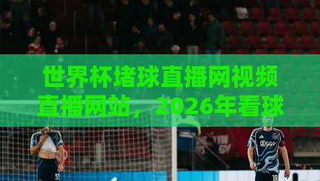 世界杯堵球直播网视频直播网站，2026年看球首选平台推荐