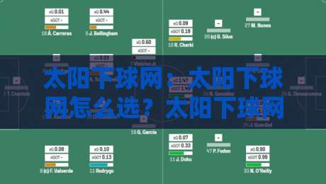 太阳下球网：太阳下球网怎么选？太阳下球网耐用又防晒的材质与安装细节全梳理-线上十大最稳比球站新用户免费无延迟4K俱乐部中水