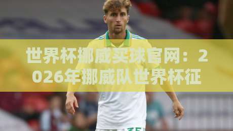 世界杯挪威买球官网:2026年挪威队世界杯征程与购彩指南