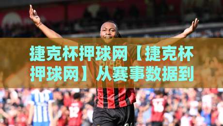 捷克杯押球网【捷克杯押球网】从赛事数据到临场判断：捷克杯押球网背后的信息处理逻辑与场景化预判-网上热门压球网半场波胆登录交流攻略排名回放