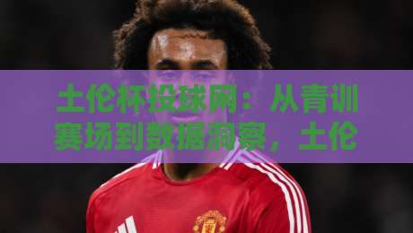 土伦杯投球网：从青训赛场到数据洞察，土伦杯投球网如何重塑年轻球员的成长路径？-今日最新外围投球站动画水位精彩片段流畅代理1080P