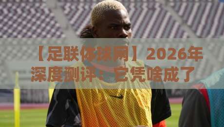 【足联体球网】2026年深度测评:它凭啥成了球类迷的新宠?