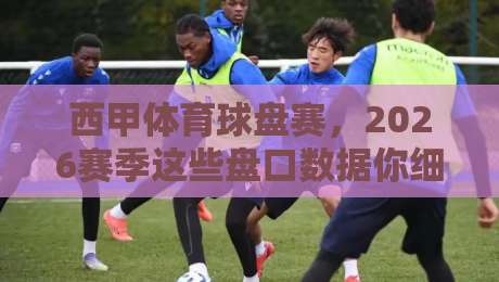 西甲体育球盘赛,2026赛季这些盘口数据你细品了吗?
