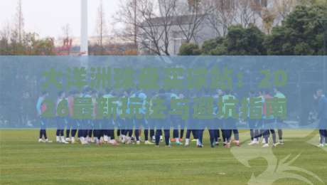 大洋洲球盘买球站:2026最新玩法与避坑指南(资深编辑亲测)