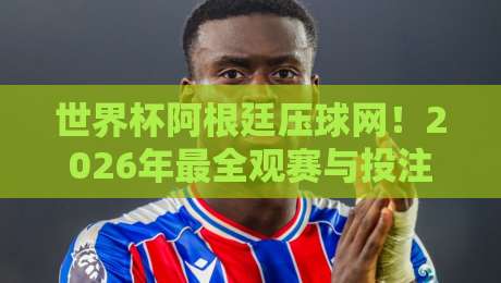 世界杯阿根廷压球网!2026年最全观赛与投注指南