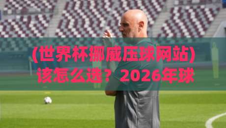 (世界杯挪威压球网站) 该怎么选？2026年球迷必看避坑指南