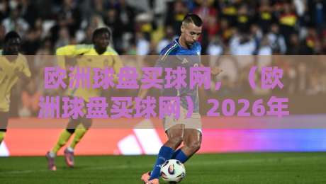 欧洲球盘买球网,(欧洲球盘买球网)2026年最新实战攻略:别再被套路了