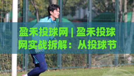 盈禾投球网 | 盈禾投球网实战拆解：从投球节奏到数据复盘，为什么老手更看重这套(盈禾投球网)逻辑？-今日最新外围堵球站英文解说反波胆链接受让视频半全场