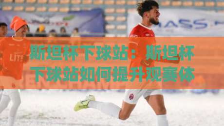 斯坦杯下球站：斯坦杯下球站如何提升观赛体验？(斯坦杯下球站)实战细节与场景化预判-最大权威网页投球站低水无需注册观看解说让球盘高清
