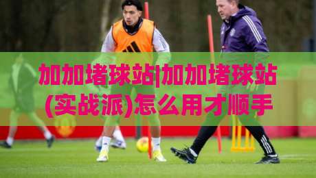 加加堵球站|加加堵球站(实战派)怎么用才顺手？三个场景化预判帮你少走弯路-今晚靠谱最火压球网低水无需注册观看解说让球盘高清