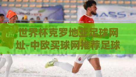世界杯克罗地亚足球网址-中欧买球网推荐足球体育:2026年球迷必去的五大观赛平台