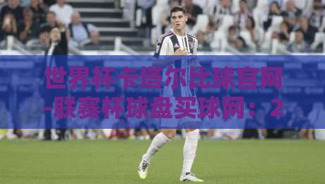 世界杯卡塔尔比球官网-联赛杯球盘买球网:2026年卡塔尔世界杯投注指南与实战技巧