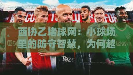 西协乙堵球网：小球场里的防守智慧，为何越来越多人开始研究它？-线上十大最稳堵球站投注录像回放策略波胆积分榜超清
