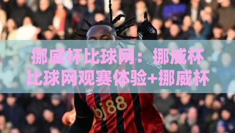 挪威杯比球网：挪威杯比球网观赛体验+挪威杯比球网背后的足球文化魅力-网上热门比球网回放无广告全场录像公司比分下盘