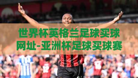 世界杯英格兰足球买球网址-亚洲杯足球买球赛【世界杯英格兰足球买球网址】2026年球迷必看指南